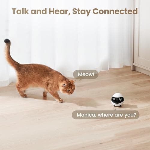 Enabot EBO FamilyBot Home Camera Robot EBO Air 2: 2K Movable Pet Camera, Indoor Robot Companion, Custom Facial Expression, Auto-Recharge, Battery-Operated, 2-Way Talk, Night Vision(Jay Blue) thumbnail 6