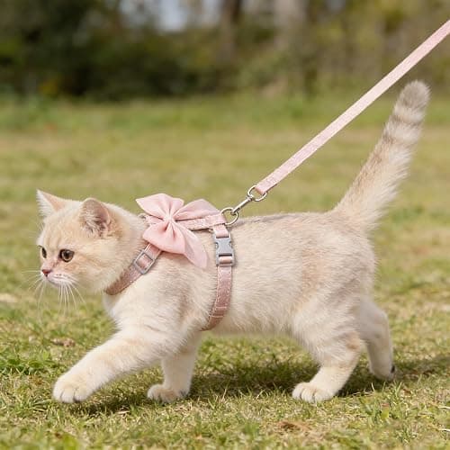Tensho Pink Bow Cat Harness and Leash Set Escape Proof, Adjustable Kitten Harness with Leash, Bow Tie Cat Harness for Walking Outdoor - Soft Lightweight Harness for Small Dogs Cats Rabbits (S) thumbnail 2