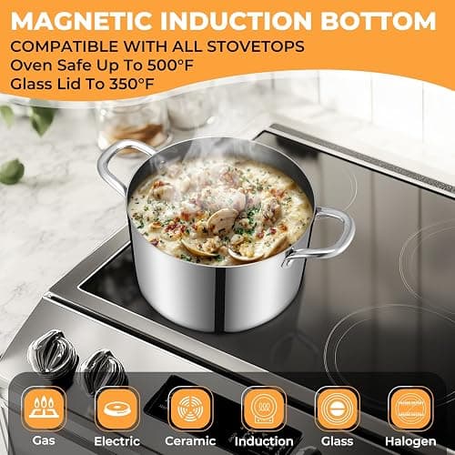 Tri-Ply Stainless Steel Stock Pot, 6.5 Quart Heavy Duty Induction Cooking Pot with Visible Lid for Pasta, Soup, Spaghetti, Sturdy & Double Handle, Dishwasher Safe thumbnail 3