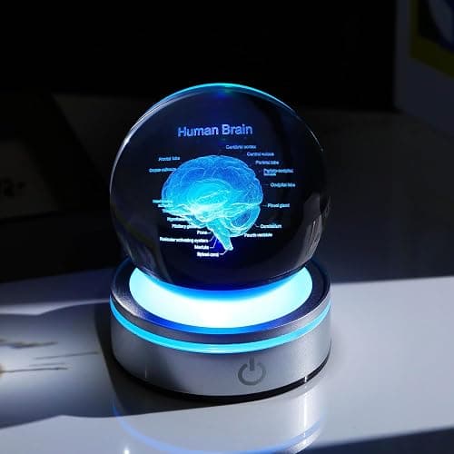 3D Human Brain 3.15 in. Crystal Ball Gifts for Him Her, Human Brain Anatomical Mini Model with Colorful Light Base for Neurologist Doctor Pharmacist, Physiology Graduation Gifts for Medical Students thumbnail 2