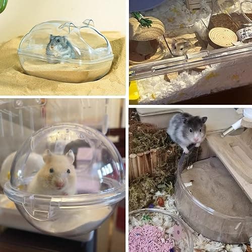 JFWOD Hamster Bath Sand, 3lb Dust Free Desert Sand or Potty Litter Sand for Hamster Chinchillas Gerbil Syrian Mice Small Animals(Beige) thumbnail 6
