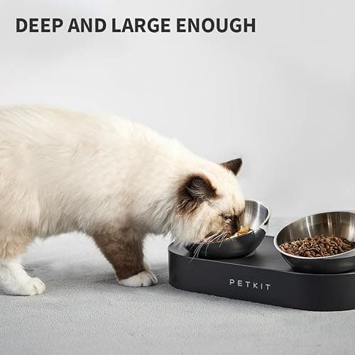 PETKIT 304 Stainless Steel Elevated Cat Bowls&Dog Bowls,Raised Cat Food and Water Bowl Set, Non-Slip, Anti Vomiting 15°Tilted Cat Small Animal Plate thumbnail 9