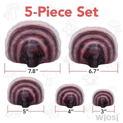 Wiosi 5-Piece Turkey Tail Reishi Mushroom Floating Shelves for Decorating Wall | Shelves for Room Wall | Perfect Floating Shelves for Room Decor | Leopard Gecko Tank Accessories thumbnail 6