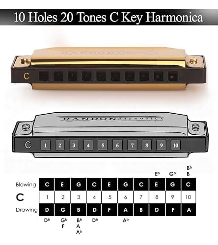 Randon Golden Harmonica Key of C with Case, 10 Holes 20 Tones Diatonic Harmonicas Mouth Organ, Blues Harmonica for Adults/Kids/Professional Players/Beginners, Vintage Style Harmonica, as a Gift thumbnail 5