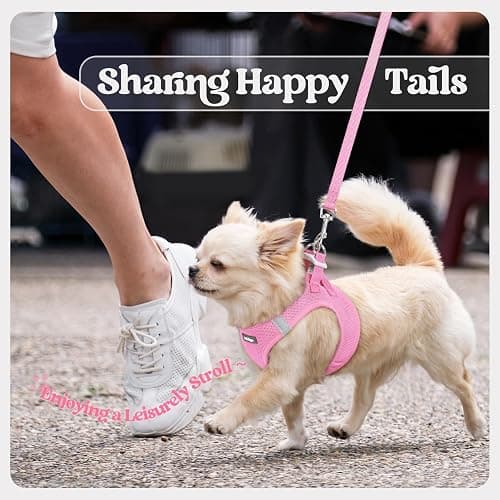 rabbitgoo Dog Harness Small Sized and Leash Set, Step-in Puppy Pet Vest | Light, Soft, Breathable Air Mesh, Easy on and Remove with Hook & Loop, Secure Reflective for Walking, Light Pink S thumbnail 9