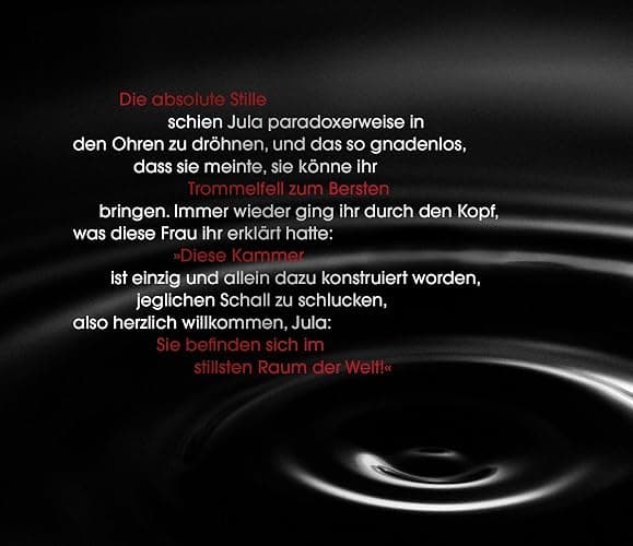 Todesrauschen: Auris. Nach einer Idee von Sebastian Fitzek | SPIEGEL Bestseller. Der 3. Band der Jula und Hegel-Thriller-Reihe (Ein Jula und Hegel-Thriller, Band 3) thumbnail 4