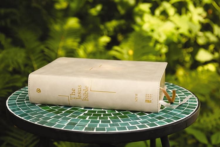 The Jesus Bible, NIV Edition, Leathersoft, Stone, Comfort Print thumbnail 5