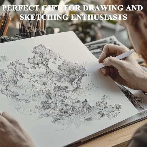 Aenir Blending Stumps for Drawing, Tortillons Blending Stumps Set of 13 Pack with Sandpaper Pencil Sharpener, Paper Art Blenders Tools for Charcoal, Graphite, Drawing Tools for Artists. (13) thumbnail 8