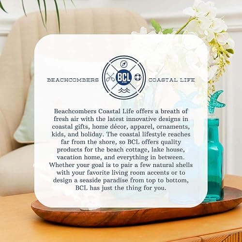 Beachcombers Colorful Glass Painted Sun Catcher Coastal Wind Chime Tropical Decor Ocean Decor Decoration Multi thumbnail 6