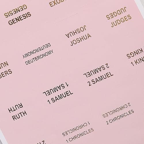 Bible Tabs for Women, 100 Tabs, Laminated Bible Book Tabs for Study Bible,Easy to Read and Apply Bible Chapter Tabs(Gold Foil Embossed Lettering), Bible Study Supplies, Pink Bible Labels Tabs thumbnail 9