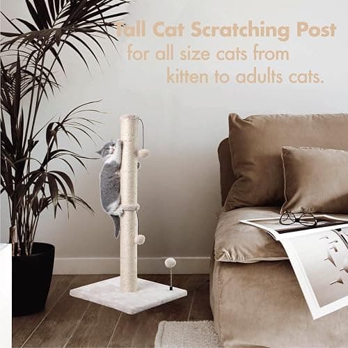 MECOOL 34” Tall Cat Scratching Post Premium Basics Kitten Scratcher Sisal Scratch Posts Trees with Hanging Ball for Indoor Cats, Beige thumbnail 5