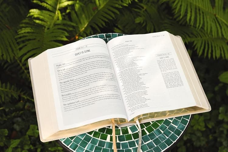 The Jesus Bible, NIV Edition, Leathersoft, Stone, Comfort Print thumbnail 6
