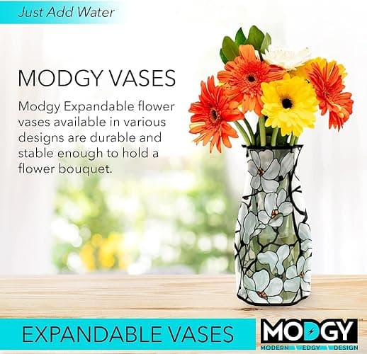 MODGY Collapsible and Expandable Plastic Flower Vase, Unbreakable, Foldable, Decorative Modern Centerpieces, Table Decorations, Louis C. Tiffany Magnolia Window, 1 Pack thumbnail 3