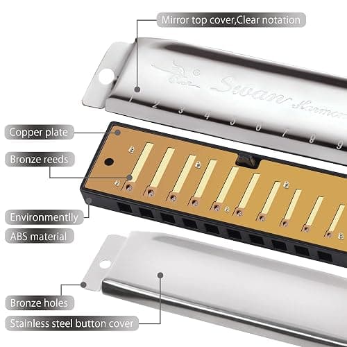 SWAN Blues Harmonica C Key for Kids Adults, 10 Hole Diatonic Harmonica Key of C, Metal Blues Harp for Beginners Students, Mouth Organ in Case, Silver thumbnail 5