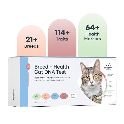 Basepaws Cat DNA Test Kit - Comprehensive Breed, Health and Dental Analysis Across 114 Traits for Accurate and Easy-to-Use Genetic Insights - Cat Breed + Health DNA Test - Basic - Image 1