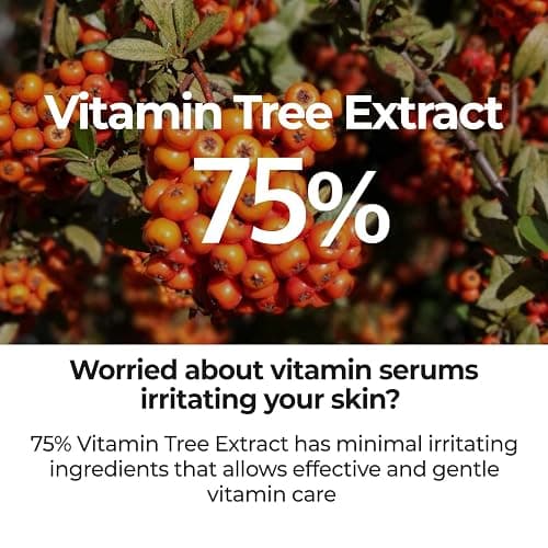 numbuzin No.5 Serum | Goodbye Blemish Serum | for Acne Scars with Vitamin C, Niacinamide, Antioxidant | Lightweight Gel, Korean Skincare for Face | 1.69 fl. oz. thumbnail 3