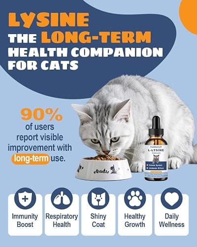 SANTKOL L-Lysine Supplement for Cats - Immune Support - 60ML Lysine for Feline Respiratory, Sneezing, Runny Nose, Eye Function - Natural Cat Antibiotic Drops - Roast Chicken Flavor thumbnail 4