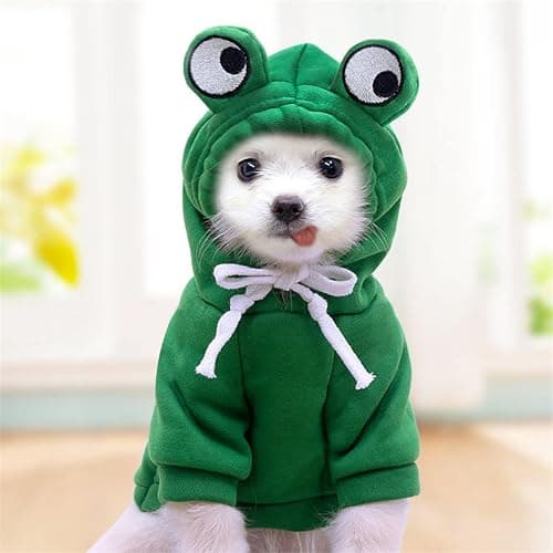 Warm Dog Winter Clothes Cute Fruit Dog Coat Hoodies Fleece Pet Dogs Costume Jacket for French Bulldog Chihuahua Ropa para Perro(Green,XXL) thumbnail 4