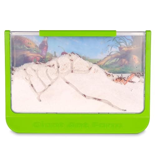 Uncle Milton Giant Ant Farm - Large Viewing Area - Care for Live Ants - Nature Learning Toy - Science DIY Toy Kit - Great Gift for Boys & Girls, Green thumbnail 4