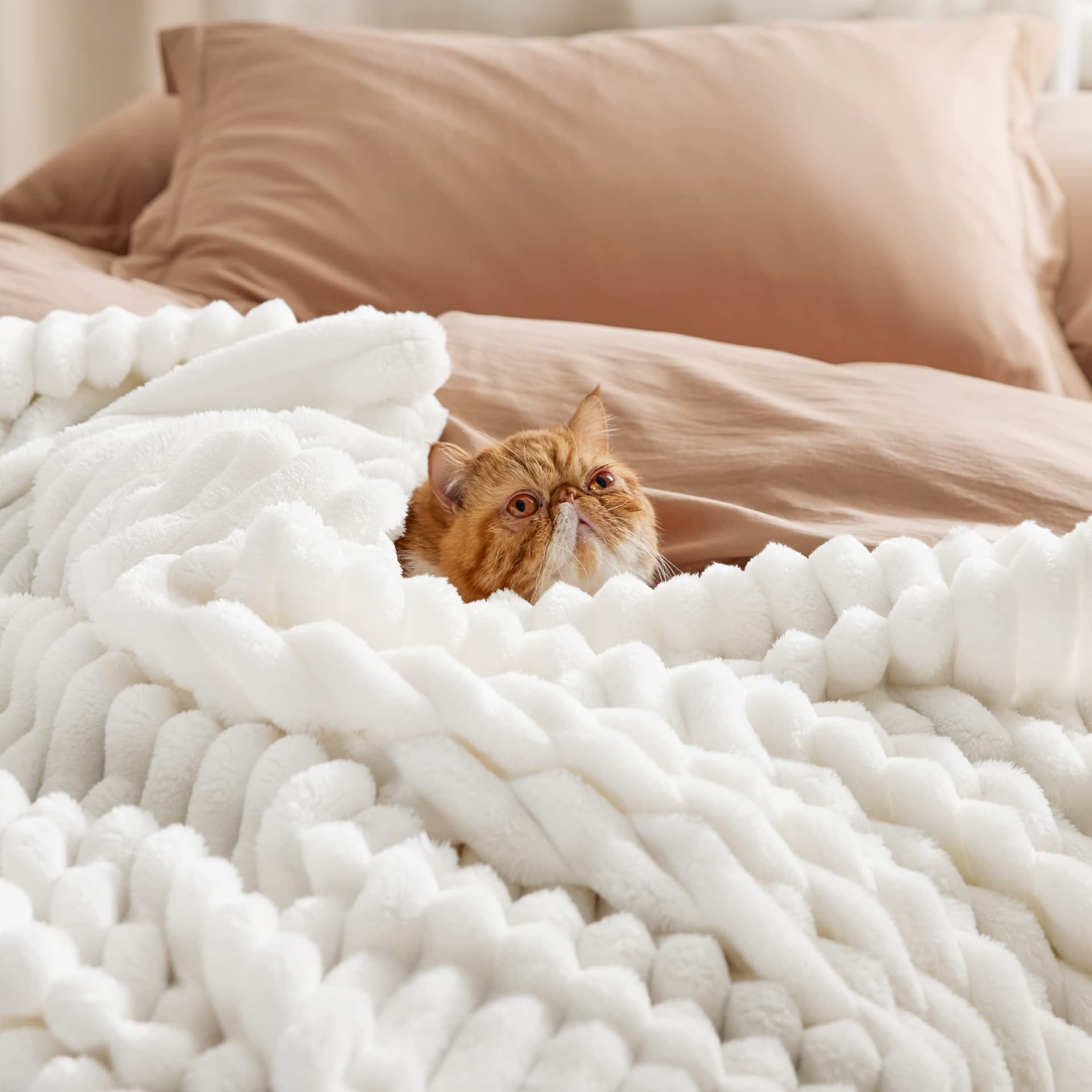 Bedsure Blanket for Couch, Super Cozy Soft Throw Blankets for Women, Cute Small Plush Fleece Throws for Girls, Off White, 50x60 Inches thumbnail 3