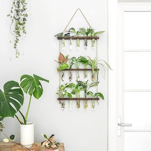 Mkono Plant Propagation Tubes, 3 Tiered Wall Hanging Terrarium with Wooden Stand Mini Test Tube Flower Vase Glass Planter Stations for Hydroponic Cutting Home Garden Office Decor Plant Lover Gift thumbnail 5