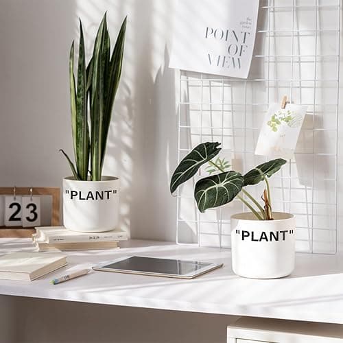 TwoDays Off-White Inspired Sneaker Planter, Hypebeast Room Decor, Small 5 Inch Cylinder White Plastic Indoor Plant Pot with Built in Drainage Hole, Mini Flower Pot, Sneakerhead Gift. thumbnail 2