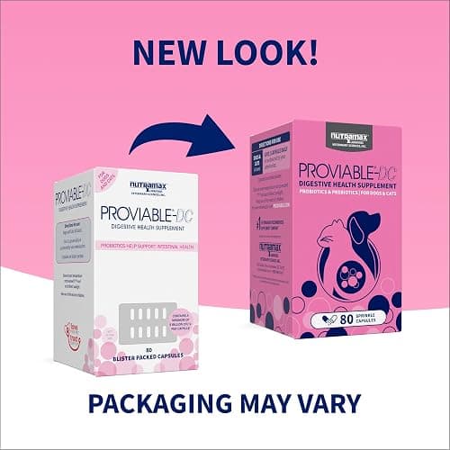 Nutramax Proviable Probiotics + Prebiotics, for Dogs & Cats, Capsules, 80ct | Probiotics and Prebiotics for Cats and Dogs, Daily Gut Health Support Supplement, Multiple Strains, Sprinkle on Food thumbnail 2
