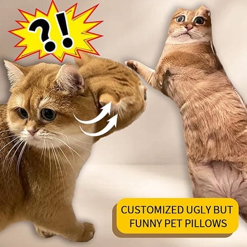 Ugly cat pillow thumbnail 3