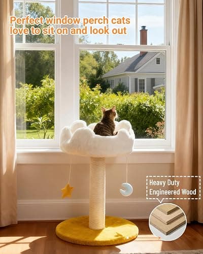 Happi N Pets Cloud Cat Tree, Cat Scratching Post with Bed, Small Cat Tree for Kittens, Cat Scratch Post with Cloud-Shaped Soft Perch & Cute Toys, Removeable Cover, Bonus Catnip thumbnail 5
