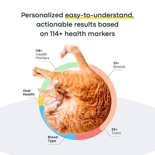 Basepaws Cat DNA Test Kit - Comprehensive Breed, Health and Dental Analysis Across 114 Traits for Accurate and Easy-to-Use Genetic Insights - Cat Breed + Health DNA Test - Basic thumbnail 3