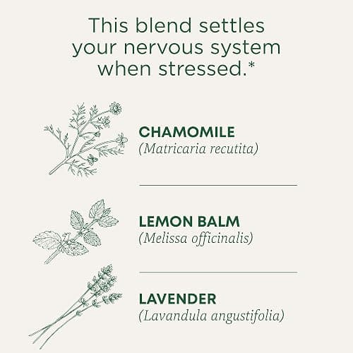 Traditional Medicinals Organic, Chamomile & Lavender - Chamomile Tea Supporting Stress Relief and Relaxation - Kosher, Non-GMO, Caffeine-Free, Compostable - 16 Tea Bags thumbnail 4