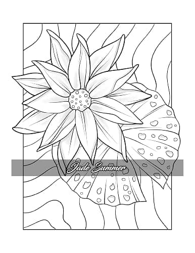 Minimalist Art: Adult Coloring Book for Women and Teens with Easy Boho Designs for Stress Relief and Relaxation (Easy Coloring Books) thumbnail 17