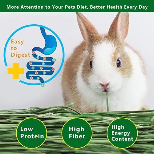 Ohcool Timothy Hay Premium Hay for Rabbits Guinea Pig Chinchilla- Natural Fresh Hay Hand Selected 6.6LBS (1.1lbs, 6 Pack) thumbnail 2