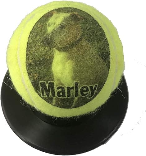 Personalized Custom Tennis Ball | Customized Tennis Ball with Name, Photo, or Text | Trophy or Gift for Coach, Son, Boyfriend, or Any Tennis Fan thumbnail 4