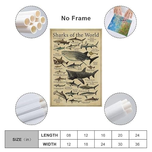 CYPGTBCK Types of Shark Poster Shark Knowledge fishing Education fish Canvas Art Poster And Wall Art Picture Print Modern Family Bedroom Decor Posters 12x18inch(30x45cm) thumbnail 2