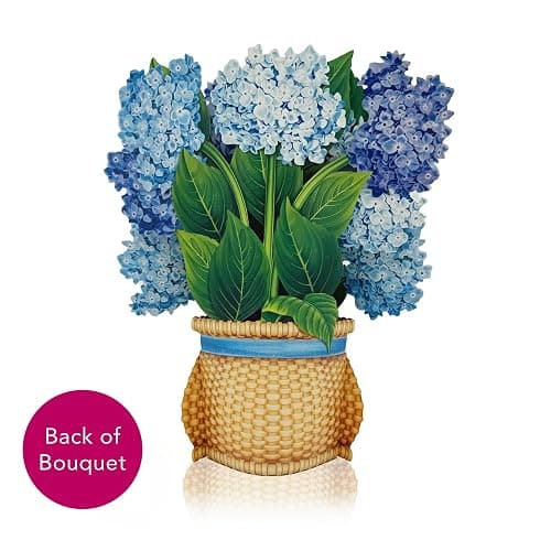 Freshcut Paper Pop Up Cards, Nantucket Hydrangeas, 12 Inch Life Sized Forever Flower Bouquet 3D Popup Greeting Card, Birthday Cards, Thank You Card, Blank Notecard & Envelope - Nantucket Hydrangeas thumbnail 8