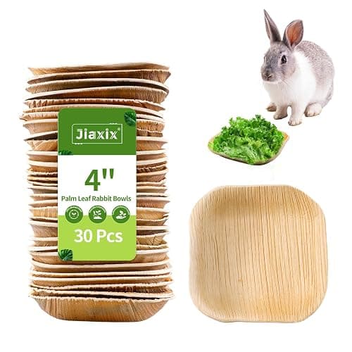 Jiaxix 30 Pcs Disposable Palm Leaf Bowl 4" Square Bowls for Rabbits,Chewable Dish for Rabbits,Bunnies,Hamsters,Parrot - Image 1