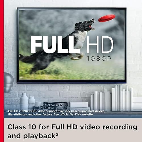 microSD Card for camera thumbnail 6