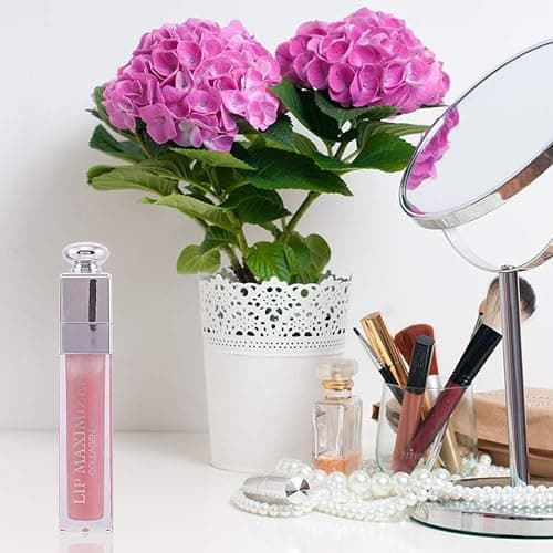Christian Dior Addict Lip Maximizer High Volume Lip Plumper for Women, 0.2 Ounce Pink thumbnail 6