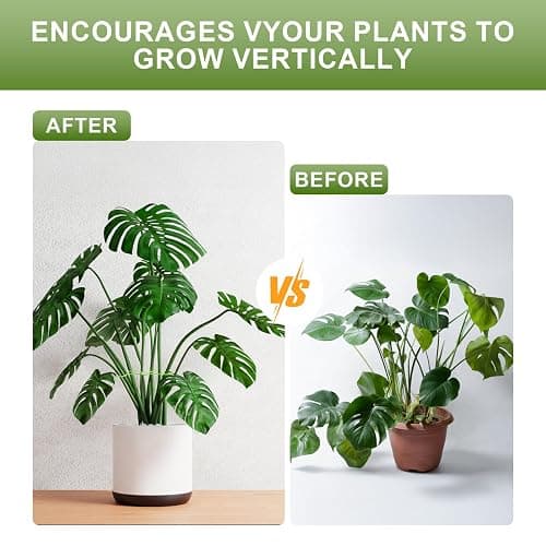 EMOOULI 16pcs Plant Support for Indoor Plants, Plant Stem Support, 4 Sizes Climbing Houseplant Stem Supports，Plant Support Rings, Leaf Holders, Indoor Plant Stakes Stabilizer Accessories  thumbnail 5