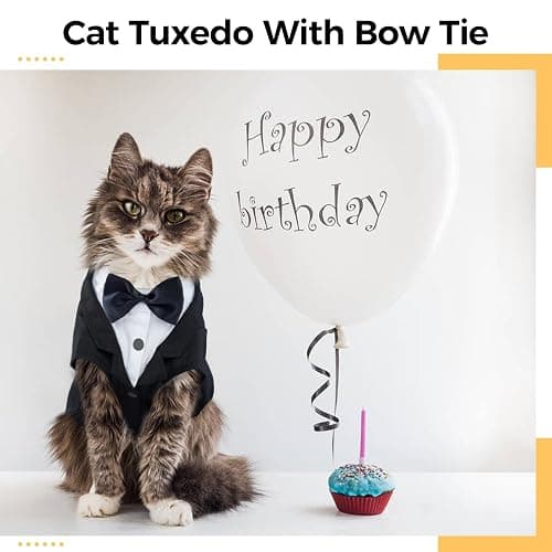 DENTRUN Cat Tuxedo Outfit, Sphynx Cat Costume Formal Suit with Bow Tie | Bow tie accessory, stylish tuxedo formal attire, for Sphynx & fluffy cats, wedding/party wear, XS-XXL. thumbnail 3