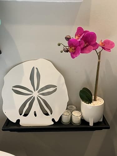 Riverside Designs Coastal Sand Dollar Ocean Beach Metal Art Steel Wall Decor (12", White) thumbnail 3