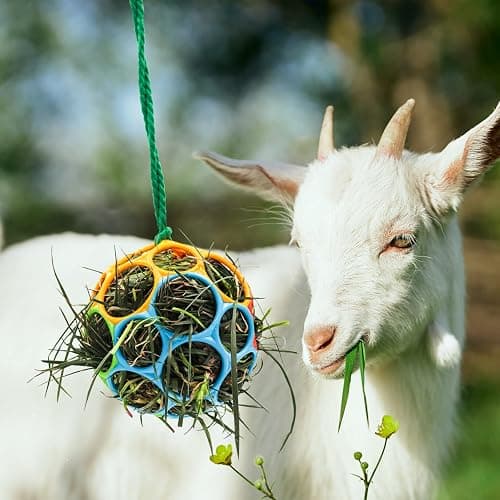 Besimple 2 Pack Horse Treat Ball Hay Feeder Toy, Goat Feeder Ball Hanging Feeding Toy for Horse Goat Sheep Relieve Stress (Colorful) thumbnail 5