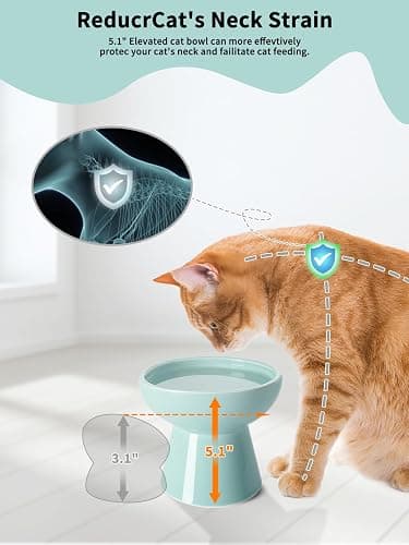 LoeJan Elevated Cat Food and Water Bowls Set, Extra Wide and Raised Ceramic Feeder, Anti-Vomit Whisker-Free Pressure Feeding Bowl for Kittens Adult Small Dogs (Blue) thumbnail 3
