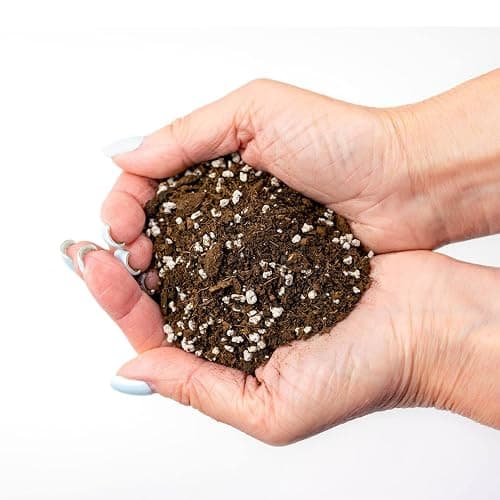 Gardenera Premium House Plant and Tropical Plant Potting Soil - Re-Potting Soil for All Types of Indoor House Plants - 1 Quart - 1 Quart - TROPICAL HOUSE PLANT POTTING MIX thumbnail 2