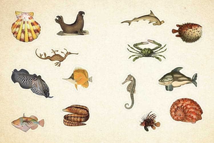 Cabinet of Curiosities: Over 1,000 Curated Stickers from the Fascinating Collections of the Smithsonian thumbnail 3