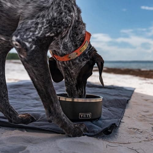 YETI Boomer 8 stainless steel dog bowl thumbnail 7