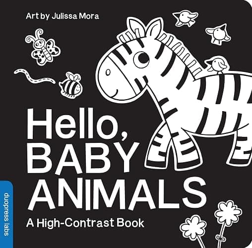 Hello, Baby Animals: A perfect book for parents and caregivers at home with babies this summer (High-Contrast Books) - Image 1