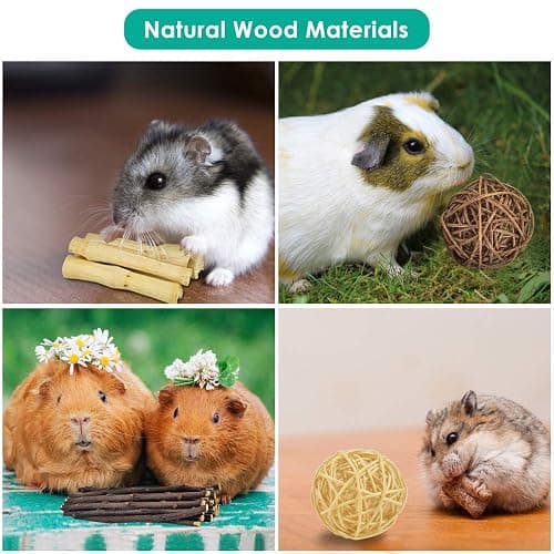 ERKOON New 12 Pack Hamster Chew Toys Gerbil Rat Guinea Pig Chinchilla Chew Toys Accessories, Natural Wooden Dumbbells Exercise Bell Roller Teeth Care Molar Toy for Rabbits Bird Rabbits Hamster Gerbil thumbnail 6