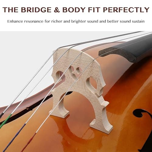 Ktaxon Full-Size Cello, Beginner Cello 4/4, Acoustic Cello Kit | Full Equipment with Portable Bag, Bow, Bridge and Rosin for Beginners | Adults & Kids String Musical (Classic Retrovert) thumbnail 5